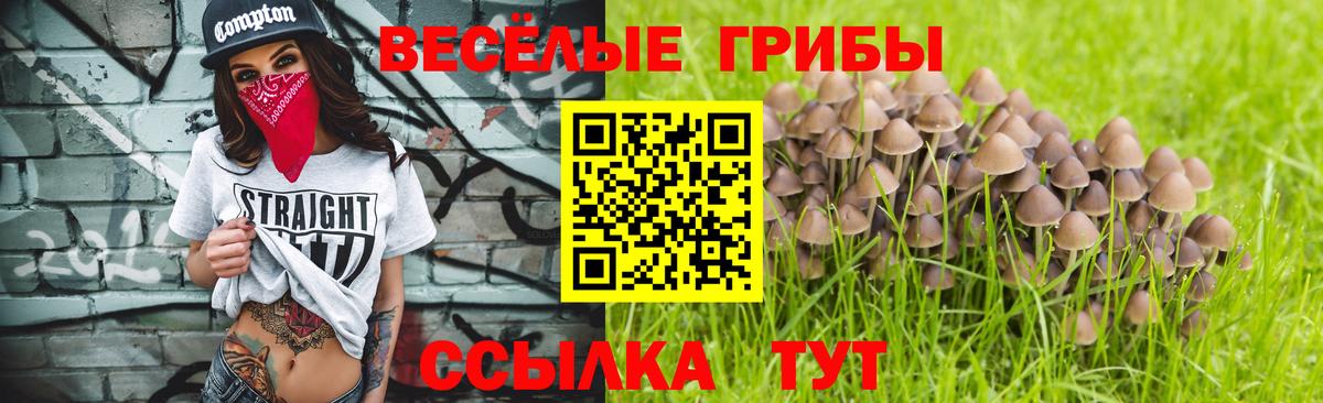 Когалым  продажа наркотиков  Вход с VPN  Псилоцибиновые грибы Psilocybe 